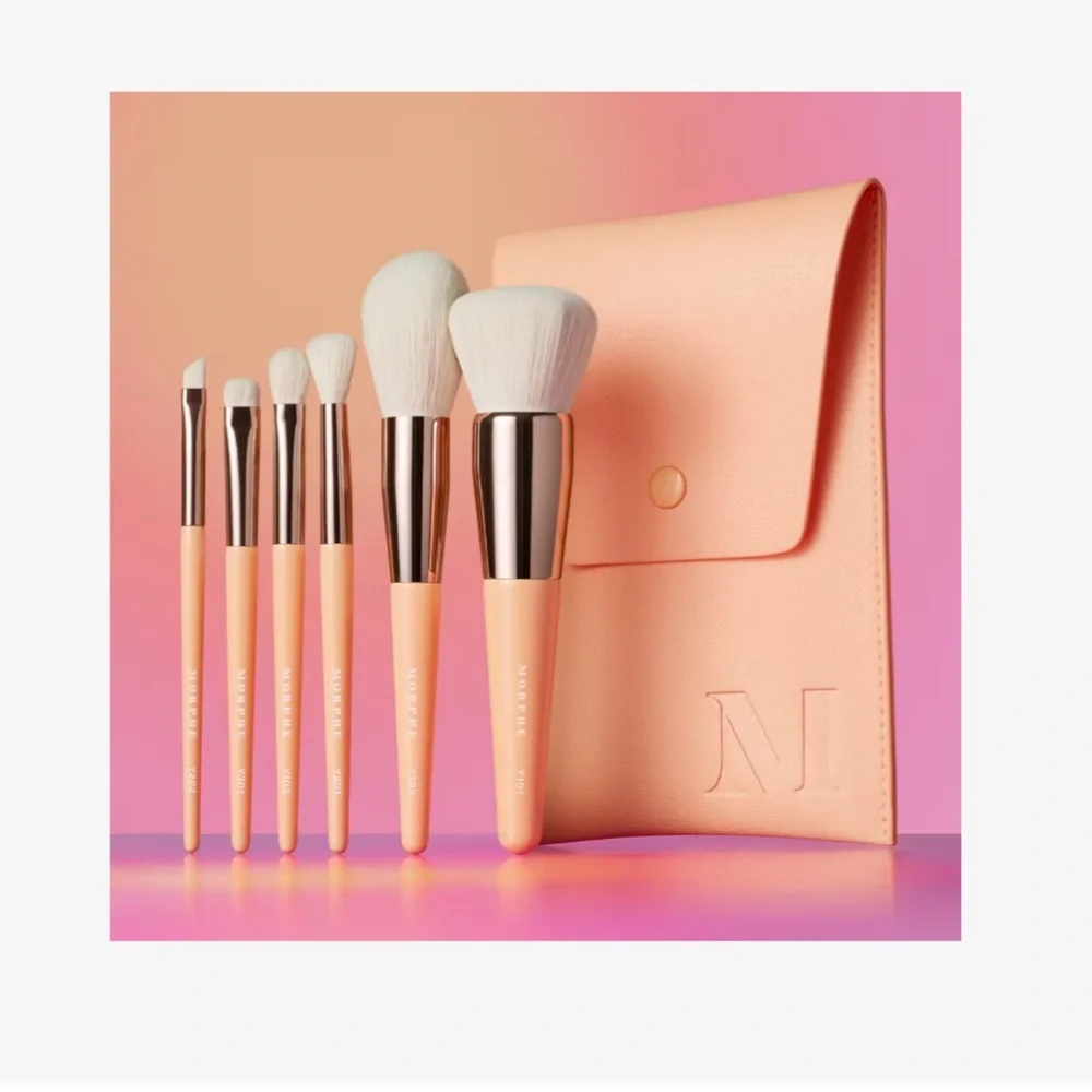 Morphe Aurascape 6 piece brush set NWT